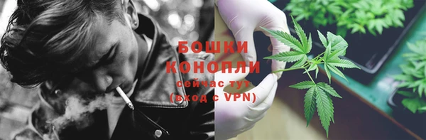 PSILOCYBIN Арсеньев