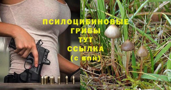PSILOCYBIN Арсеньев
