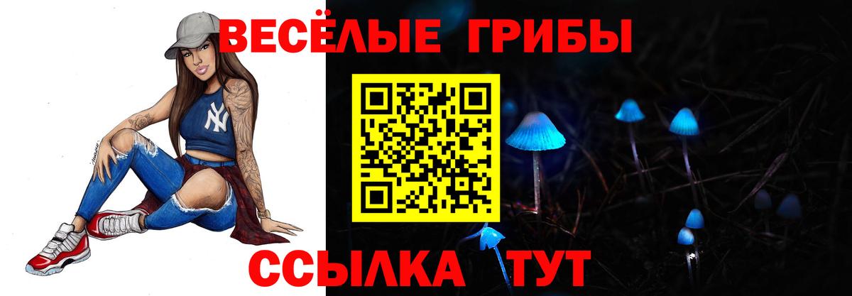 Галлюциногенные грибы мицелий  Псилоцибиновые грибы Psilocybe  Ахтубинск  Вход с VPN 
